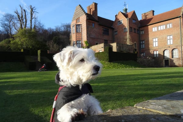 Kent's canine friendly beaches and prime dog-walking countryside are a given – but did you know that there are lots of dog-friendly attractions in Kent too?